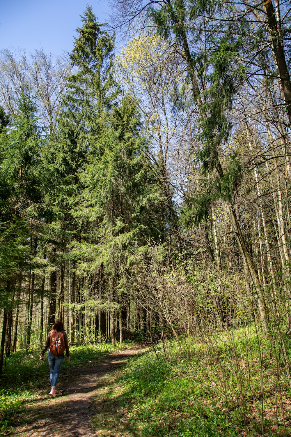 woman in black jacket standing on green grass field surrounded by green trees during daytime