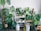 A room filled with a variety of potted houseplants, including monstera and philodendron, displayed on wooden stools and shelves. Two humidifiers are placed near the plants, and a spray bottle is visible on the floor.