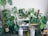A room filled with a variety of potted houseplants, including monstera and philodendron, displayed on wooden stools and shelves. Two humidifiers are placed near the plants, and a spray bottle is visible on the floor.