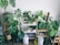A room filled with a variety of potted houseplants, including monstera and philodendron, displayed on wooden stools and shelves. Two humidifiers are placed near the plants, and a spray bottle is visible on the floor.