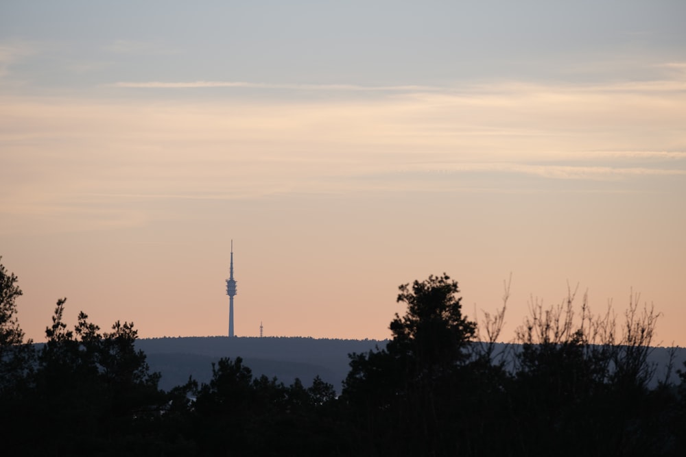 silhouette of trees during sunset