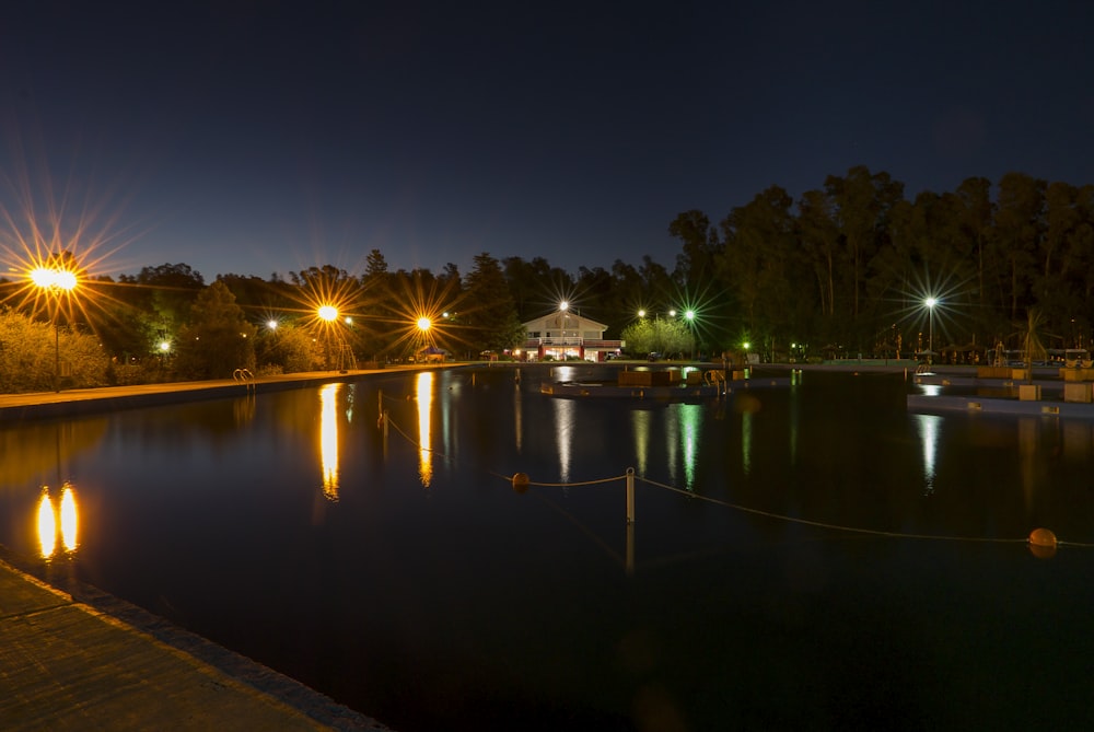 body of water near trees during night time