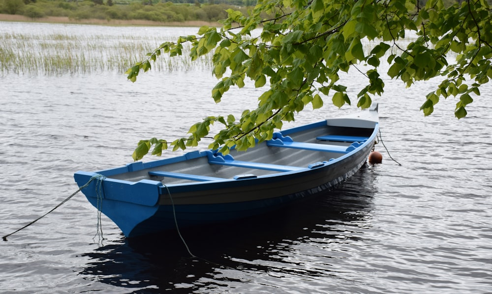 昼間の湖に浮かぶ青と白のボート
