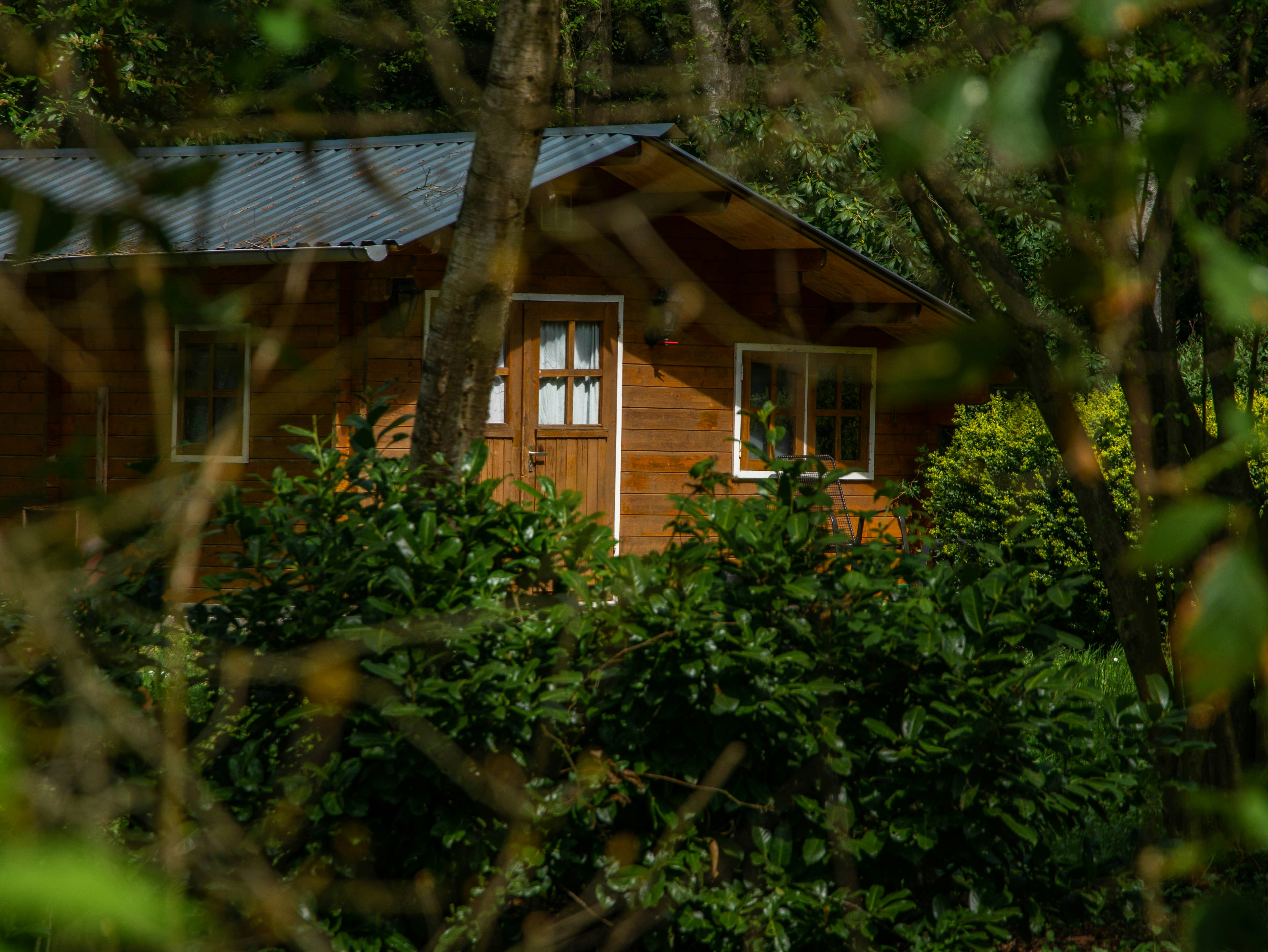 Photo by mediainspire