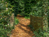A winding garden path lined with rustic wooden fences and blooming shrubs.