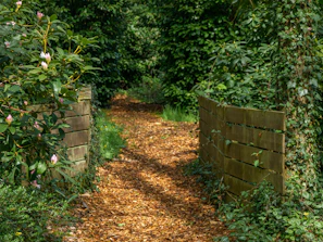 A winding garden path lined with rustic wooden fences and blooming shrubs.