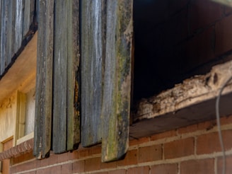 Weathered wooden boards with signs of decay are attached to a brick wall. Some areas show moss and discoloration indicating exposure to the elements. The structure beneath the wood suggests deterioration and possible rot.
