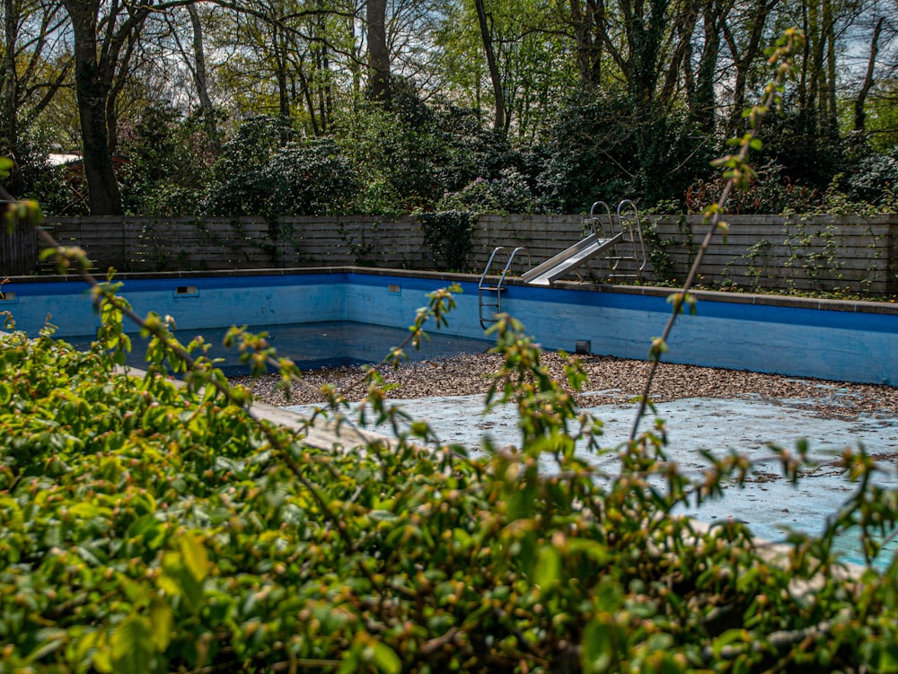 blue swimming pool surrounded by green plants and trees during daytime