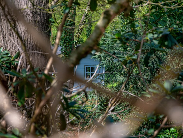 A cozy tiny home nestled in a green backyard with sunlight filtering through trees.