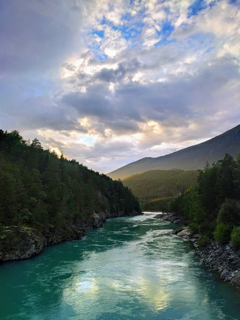 green trees near river under cloudy sky during daytime