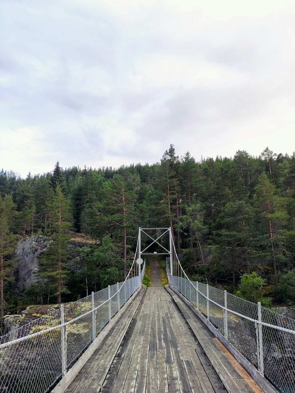gray wooden bridge surrounded by green trees under white sky during daytime