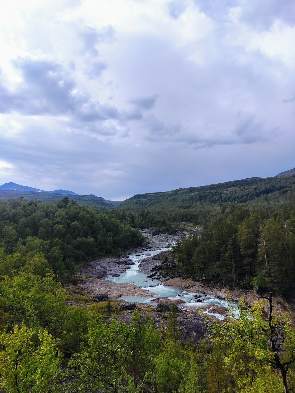 green trees and river under white clouds and blue sky during daytime