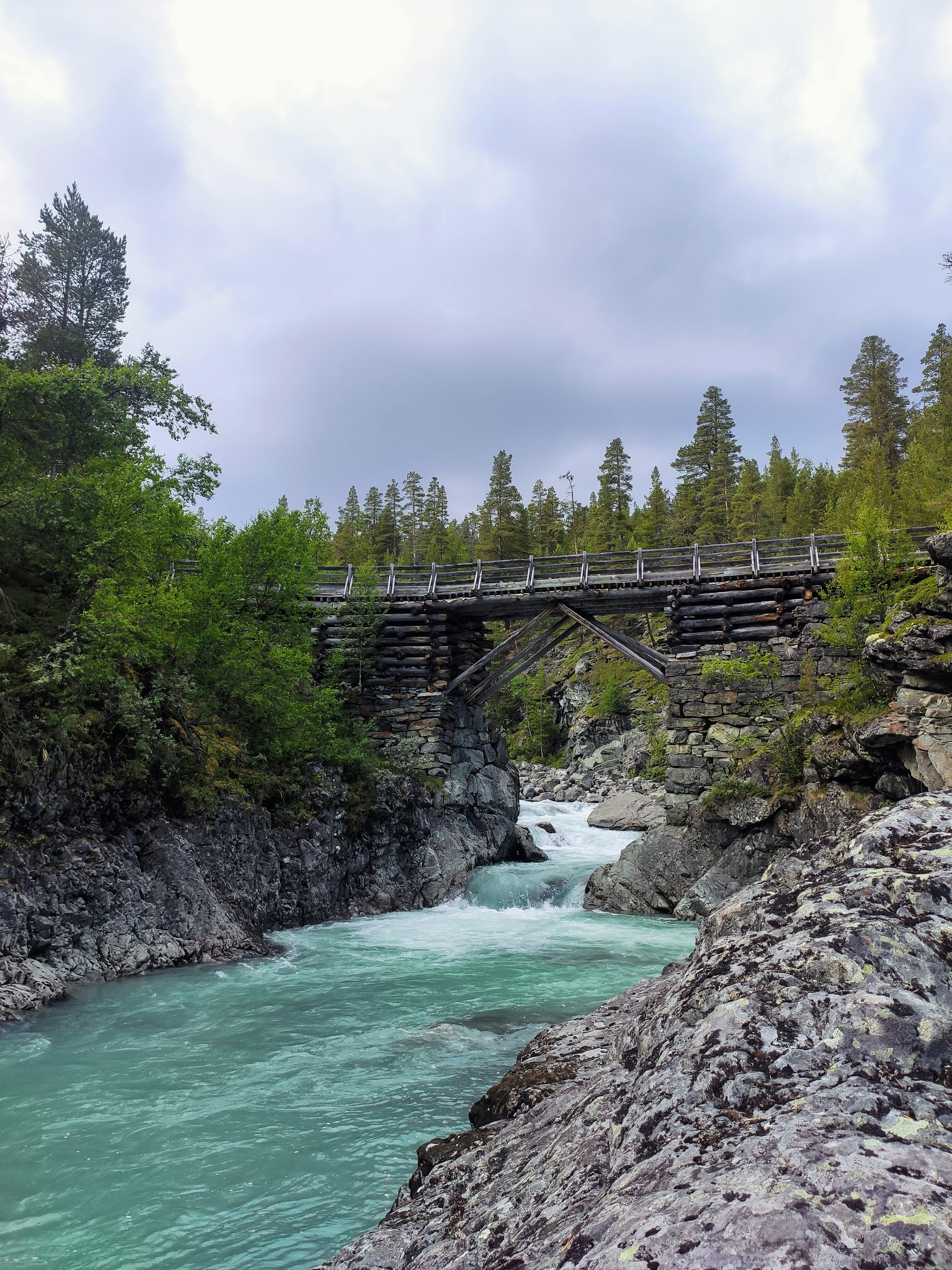 bridge over river between trees during daytime