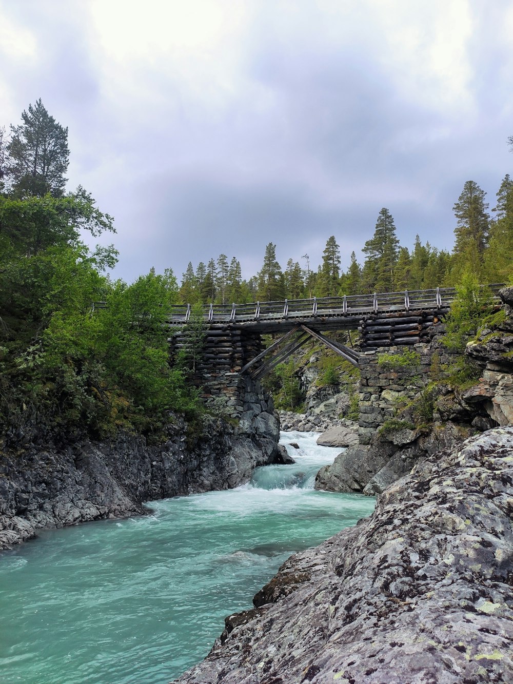 bridge over river between trees during daytime