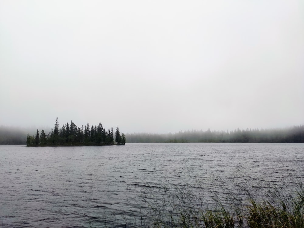 body of water near green grass field during daytime