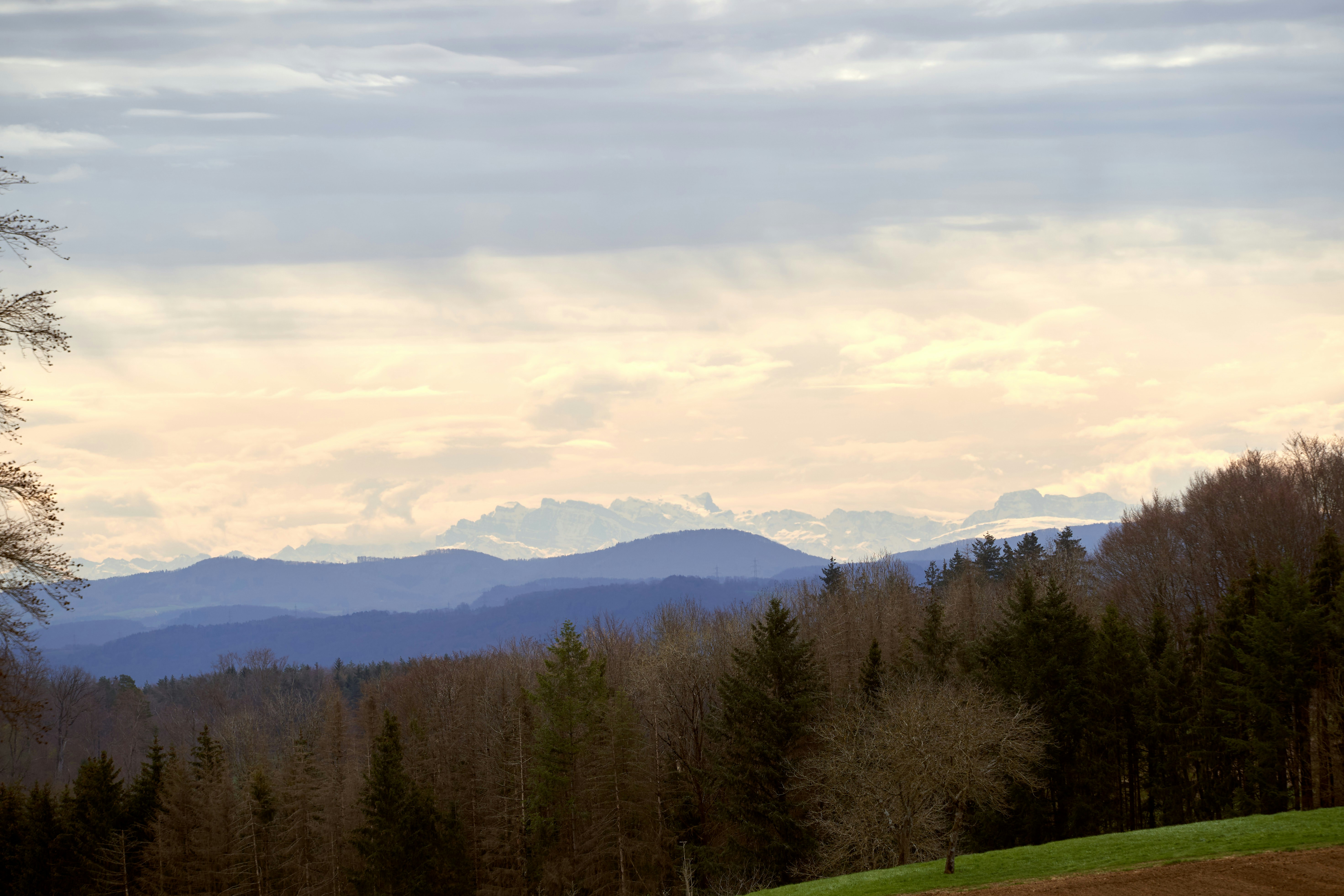 Photo by wolfgang_hasselmann