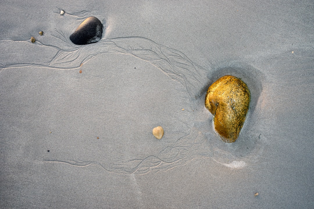 brown and green stone on white sand