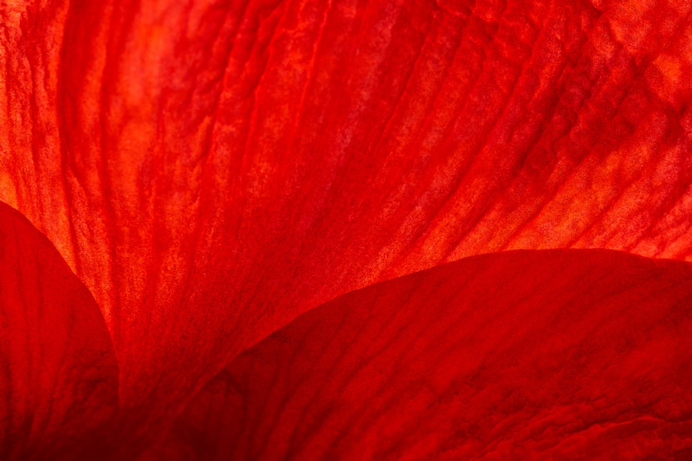 Pintura abstracta roja y blanca