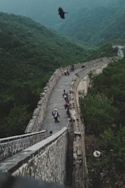 Group of pilgrims chanting and walking through lush green countryside on a spiritual tour.