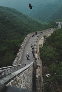 Group of pilgrims chanting and walking through lush green countryside on a spiritual tour.