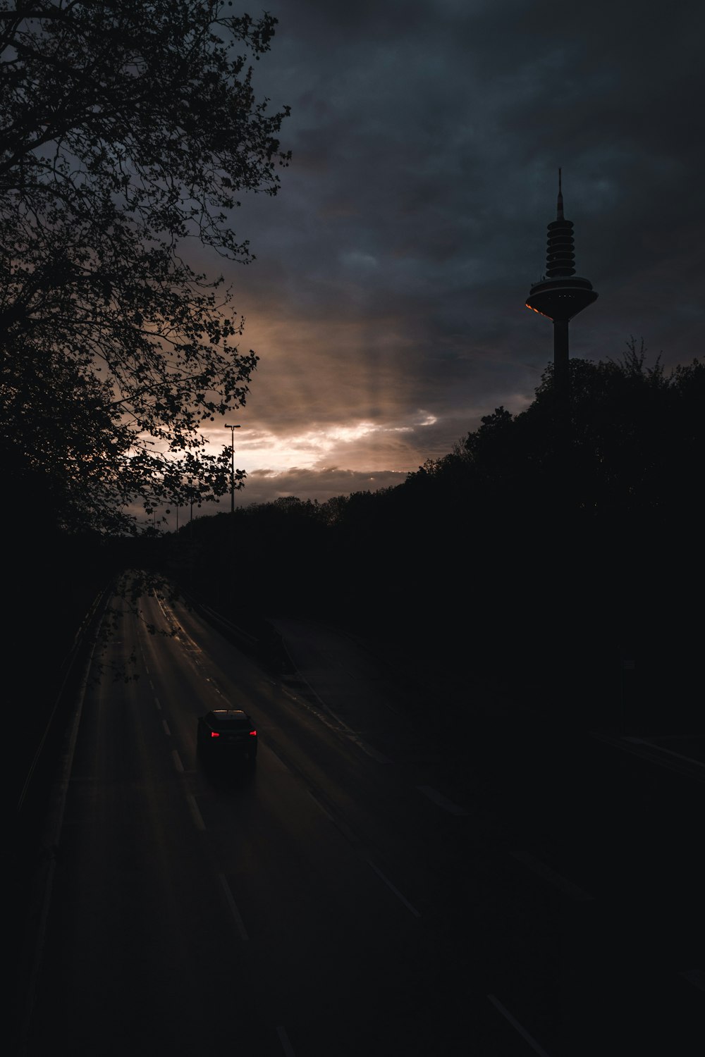 silhouette of trees and road during sunset