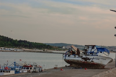 A damaged boat rests on a concrete platform by the shore, showing signs of rust and decay. Nearby, several smaller boats are docked in the calm waters. The background features a lush green landscape and a distant view of a coastal town under a cloudy sky. A bird is visible flying above the water.