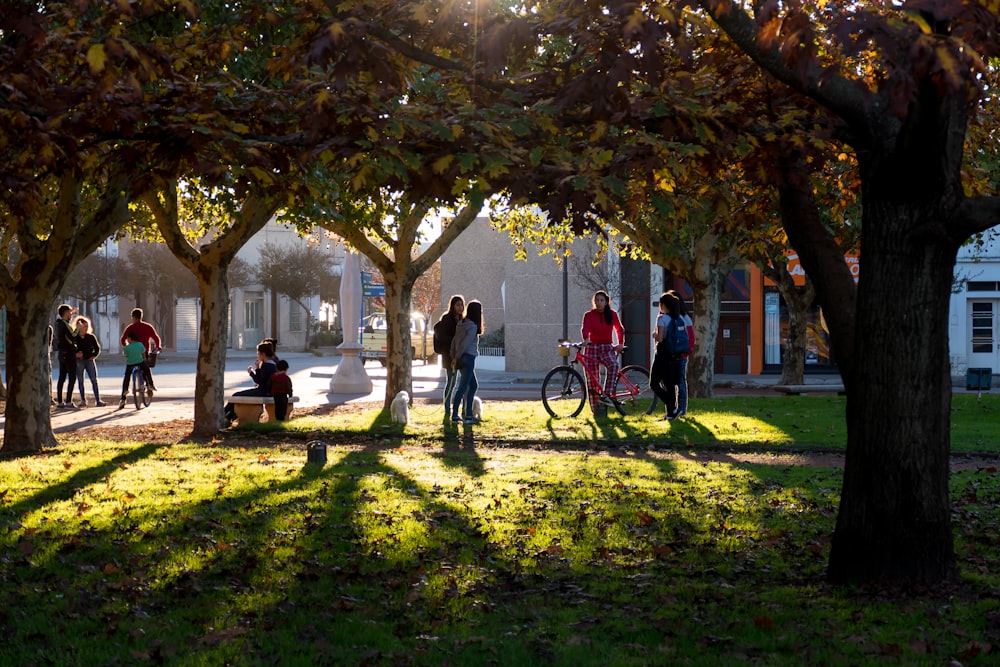 people walking on park with trees during daytime