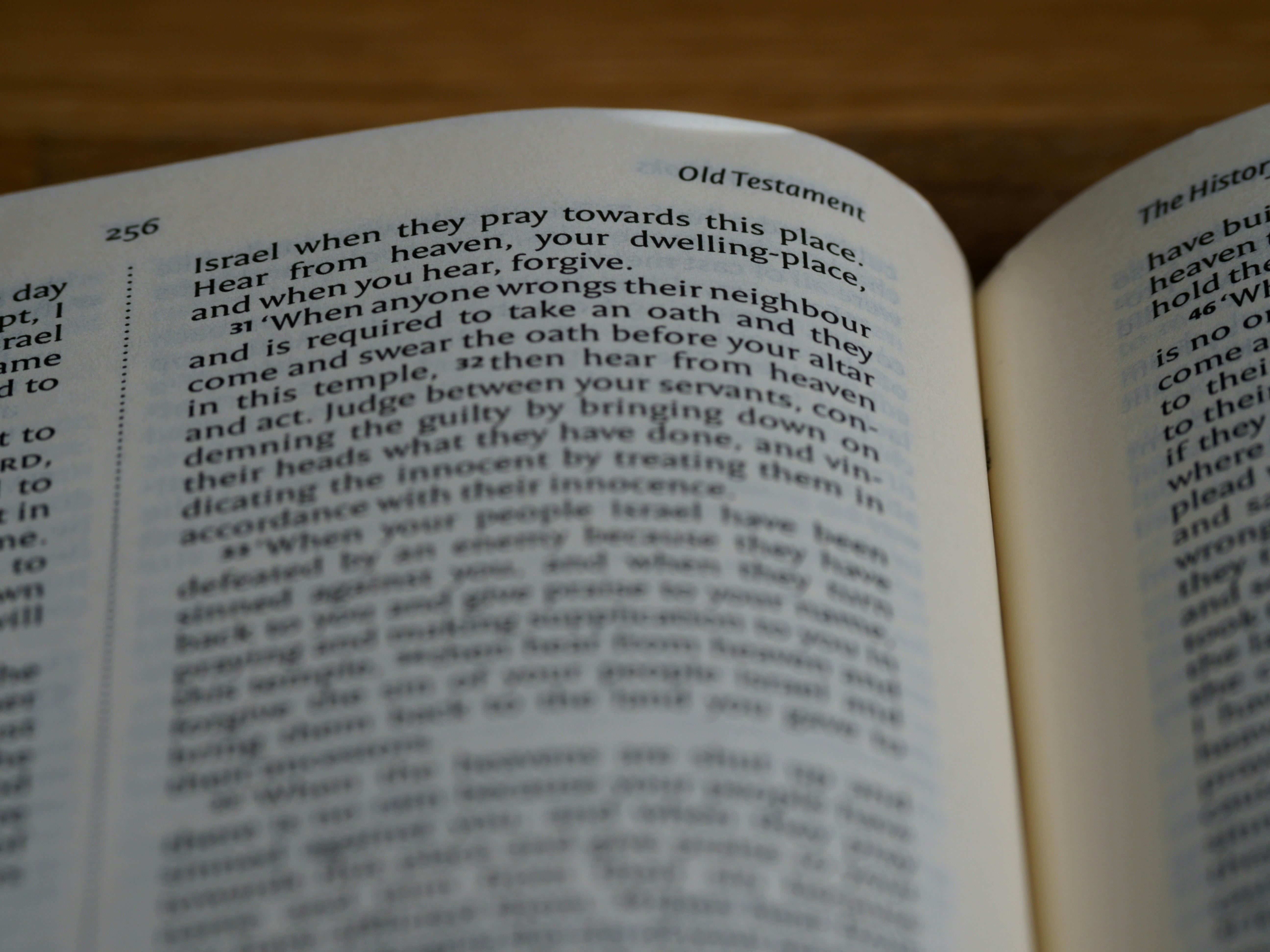 Photo by brett_jordan