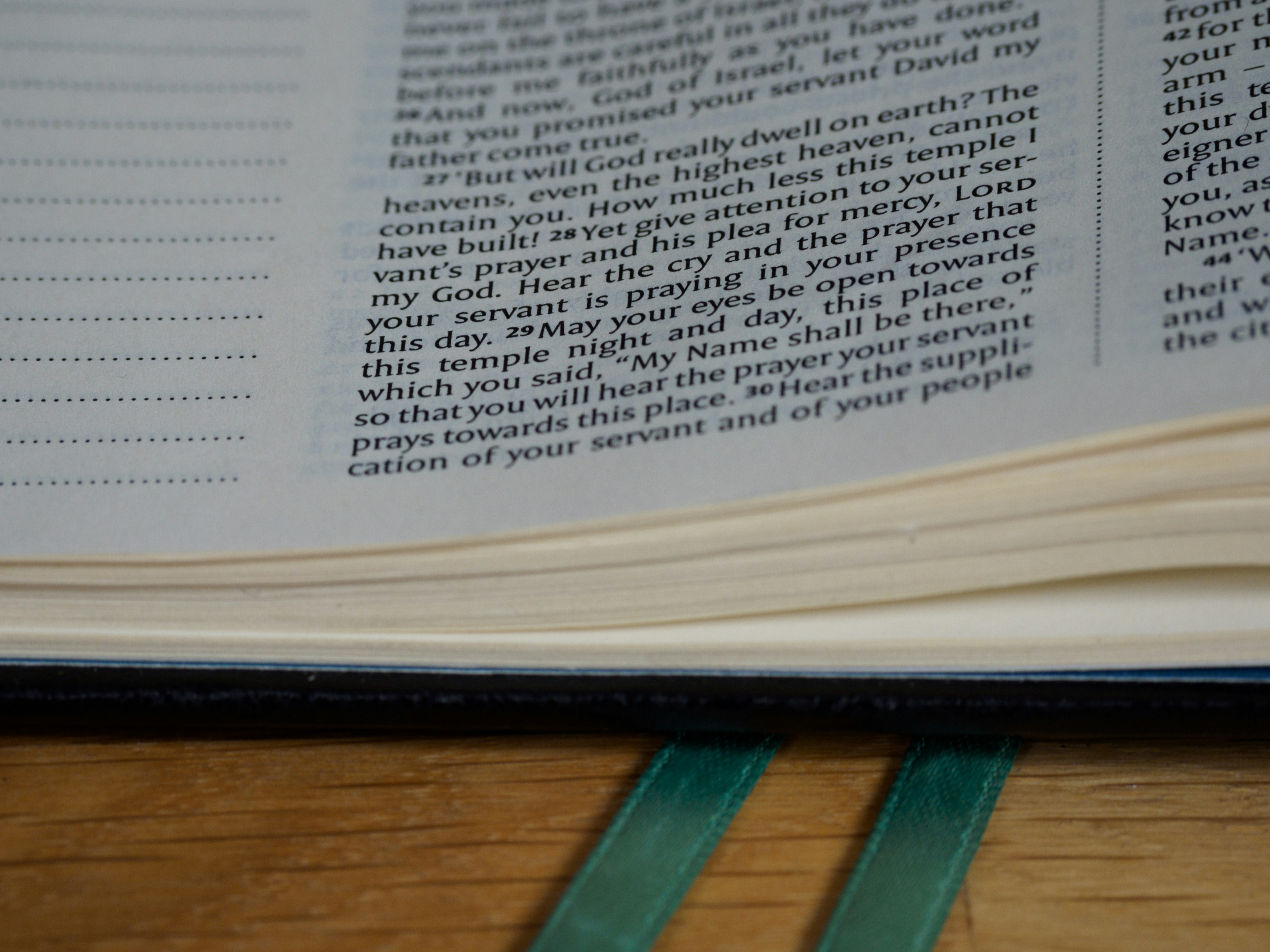 Photo by brett_jordan