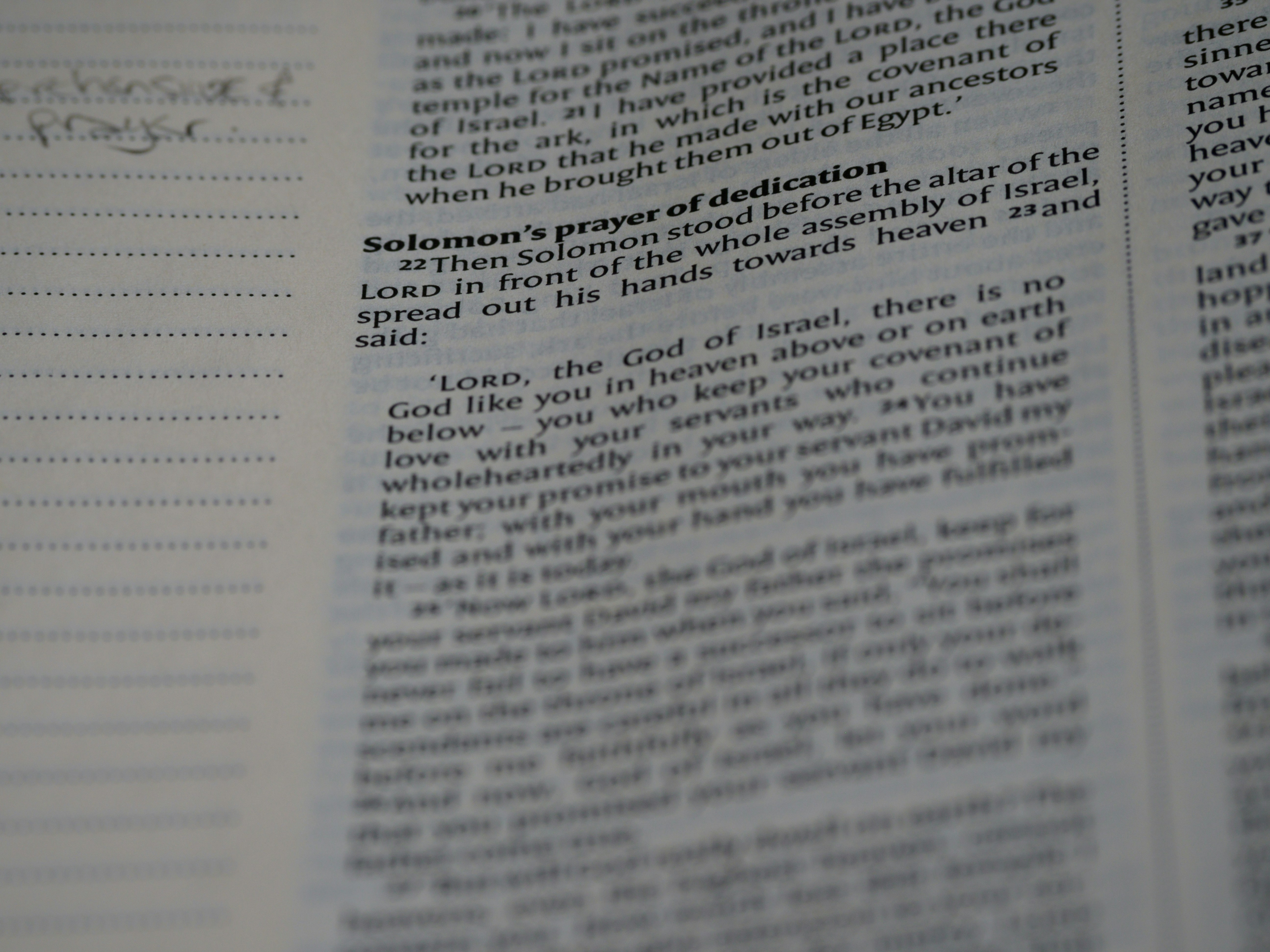 Photo by brett_jordan