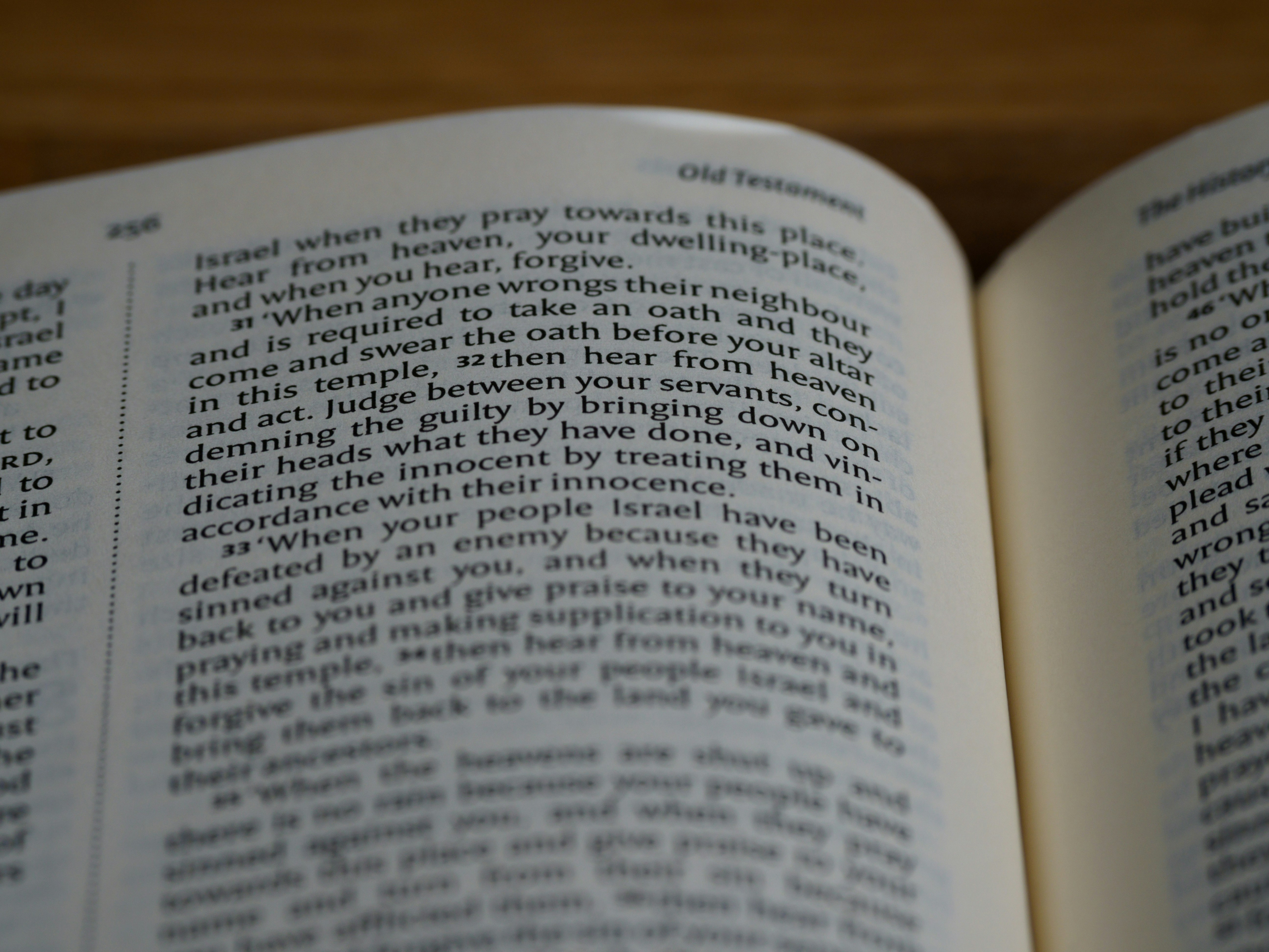 Photo by brett_jordan