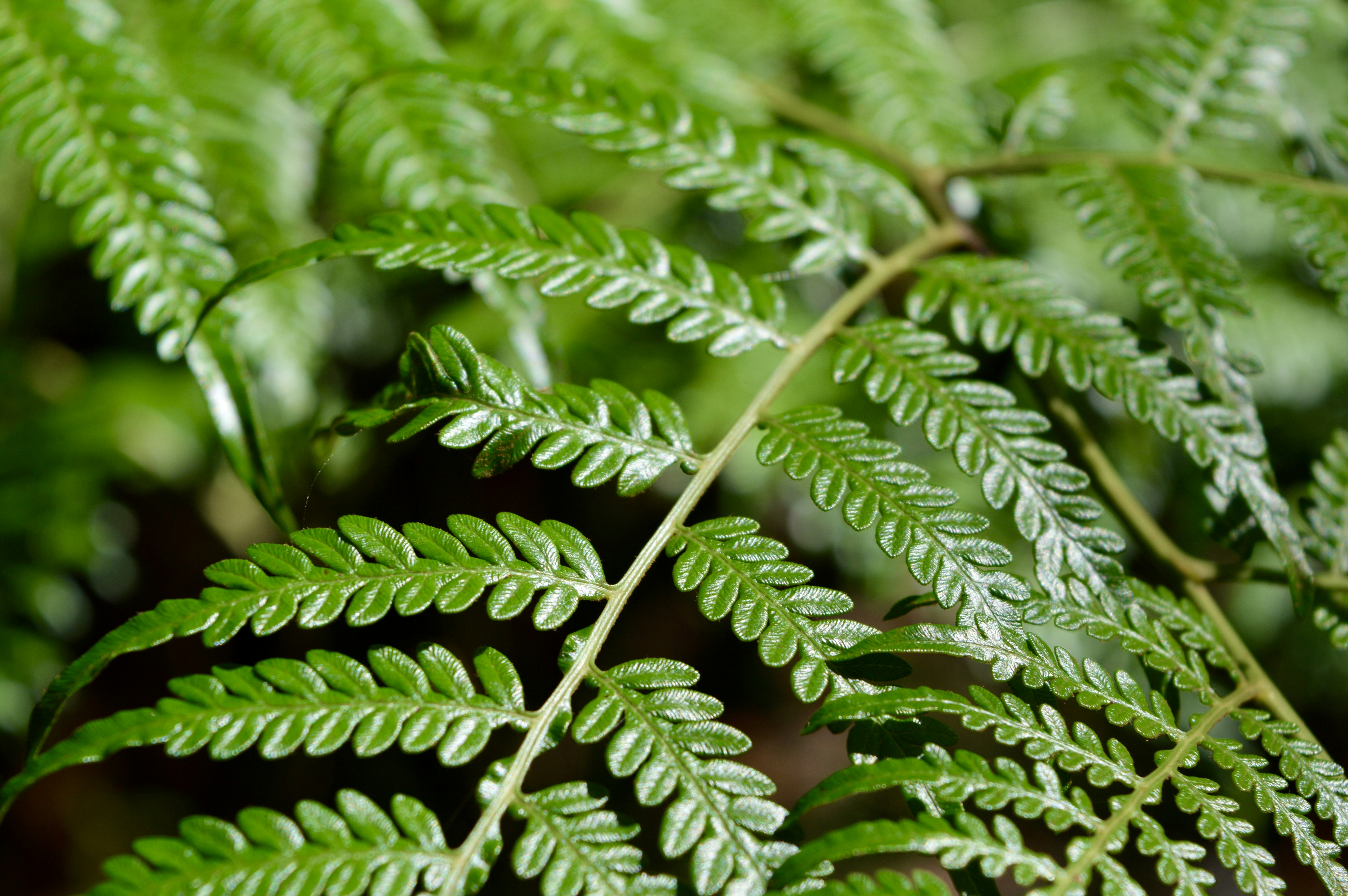 Photo by olga_russkikh