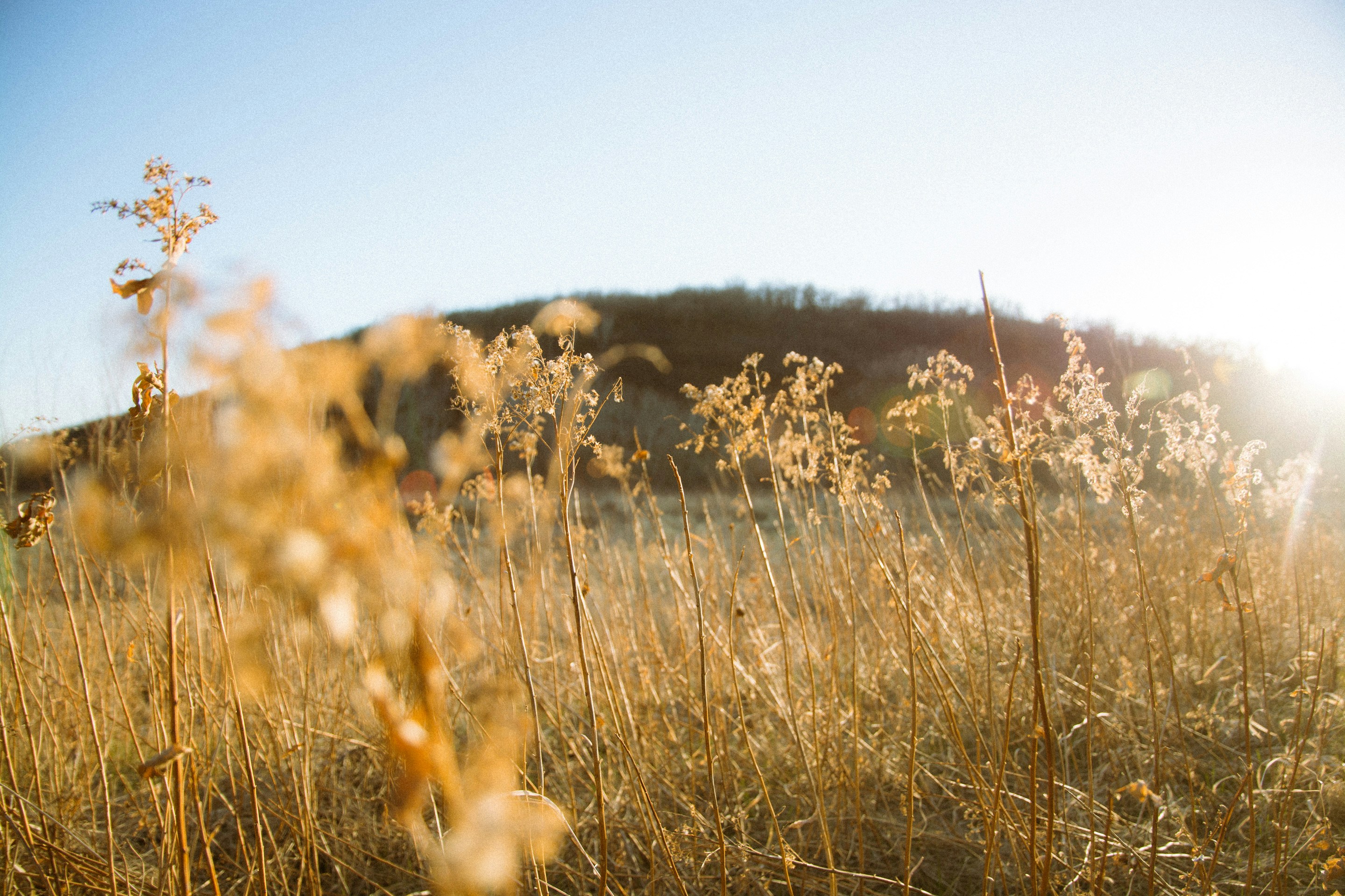 Photo by emilypenner19