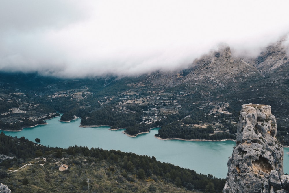 green trees on mountain near body of water during daytime