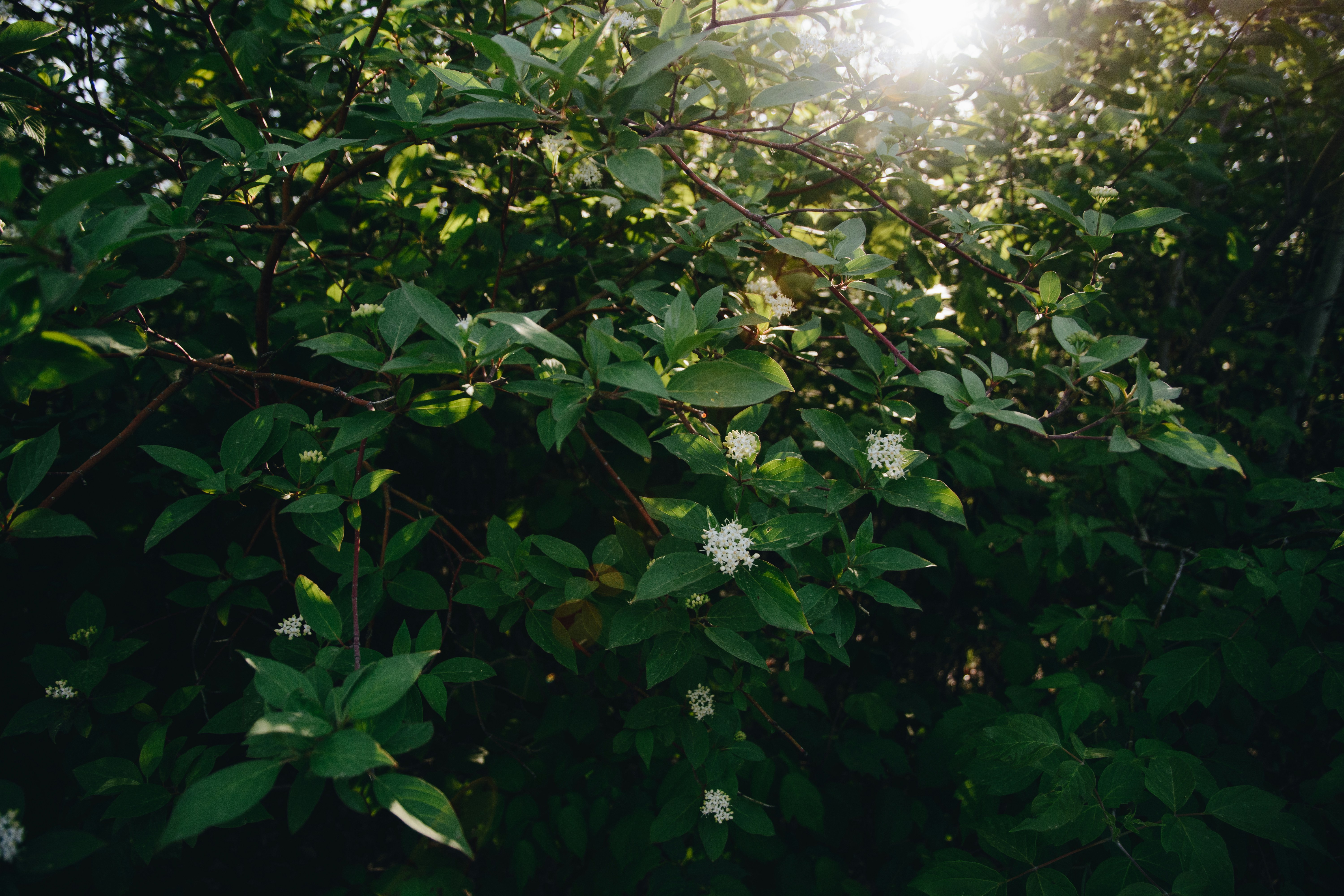 Photo by emilypenner19