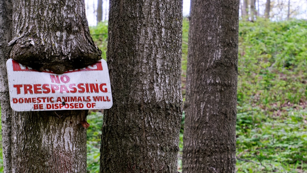 red and white no smoking sign on brown tree trunk