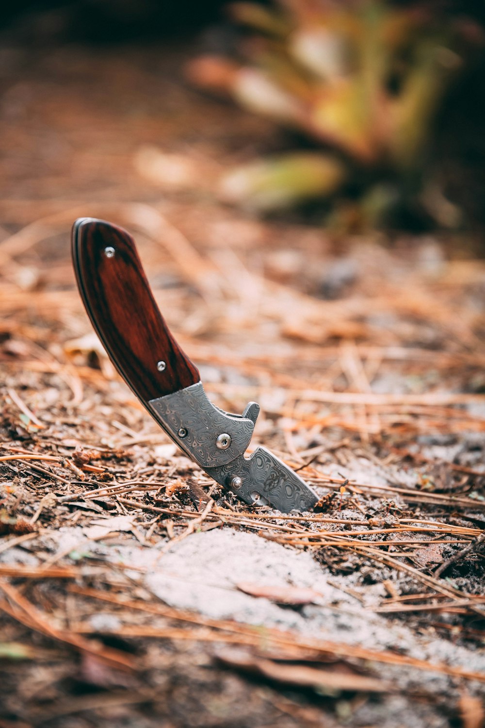 brown and silver knife on dried leaves