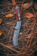 black and silver folding knife on brown dried leaves