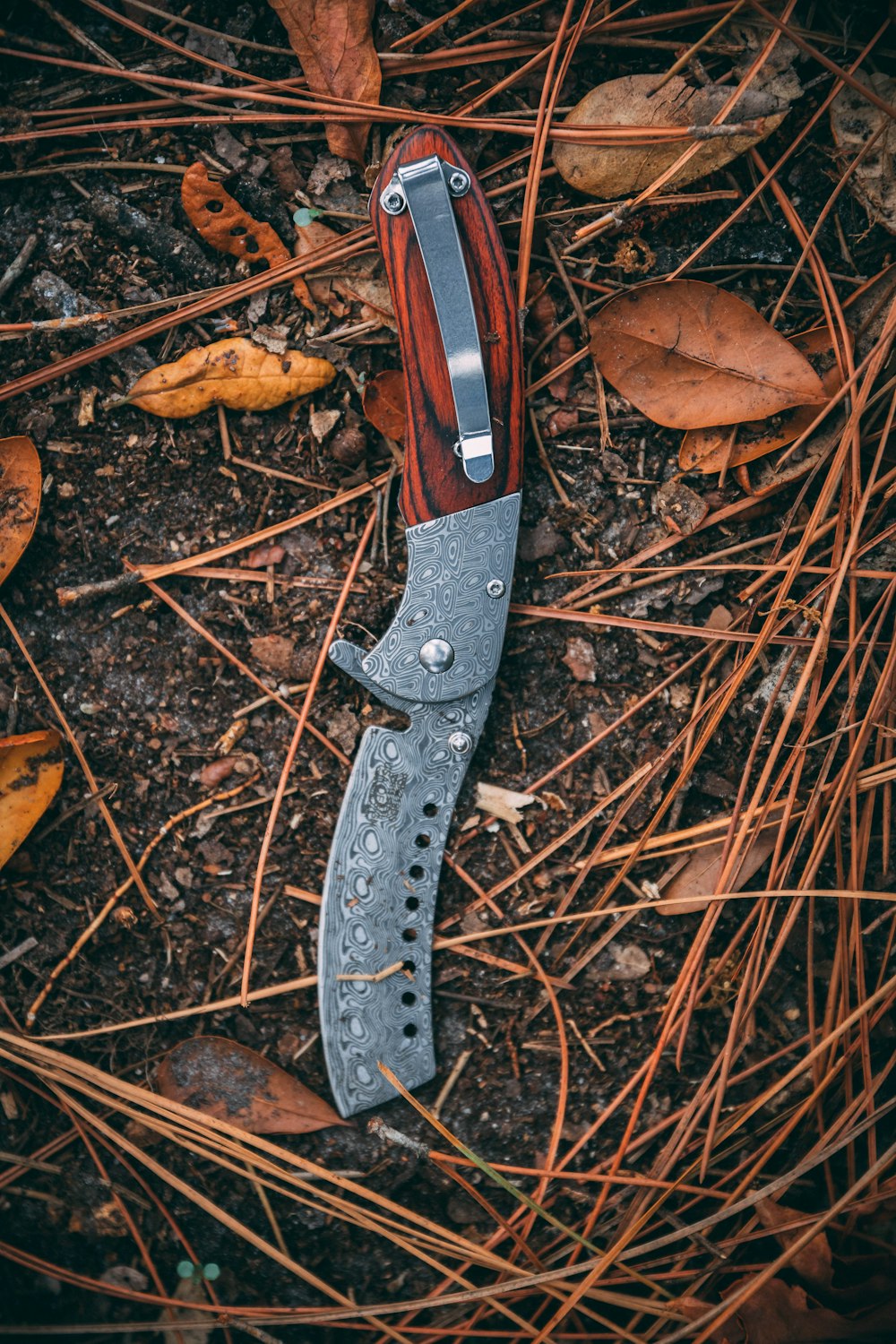 black and silver folding knife on brown dried leaves