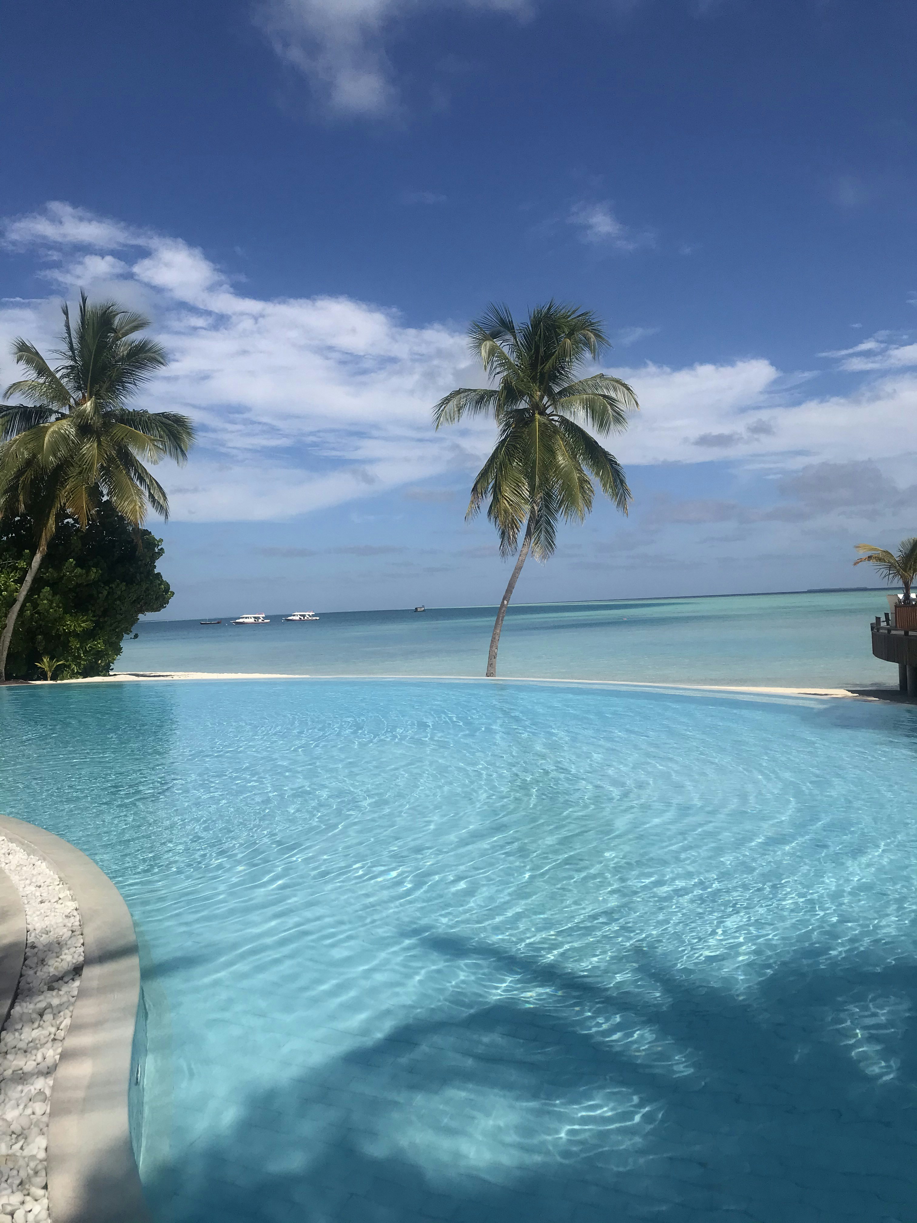 Vista panorámica de piscina infinita frente al océano Pacífico con palmeras
