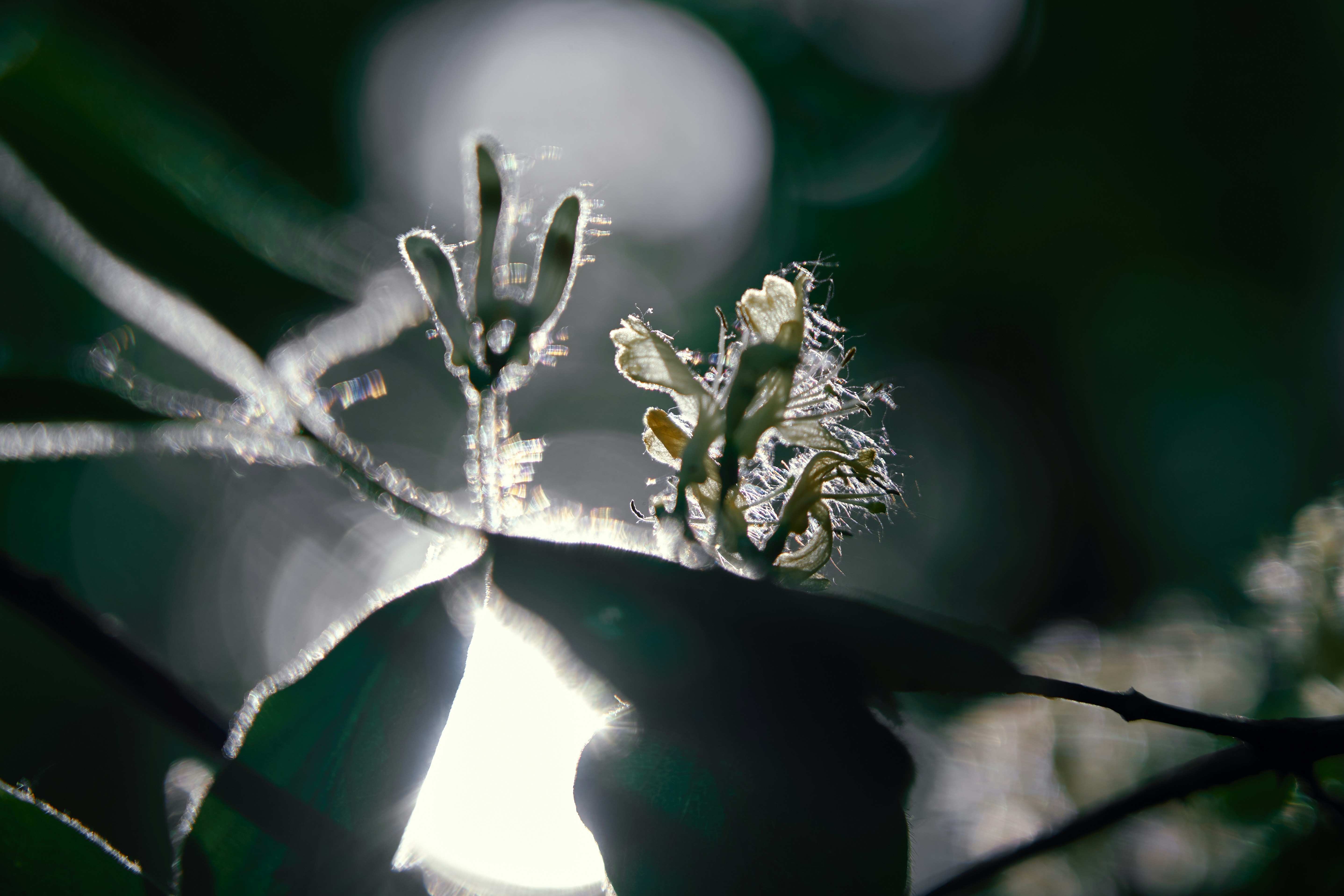 Prioritizing Your Clothing Rental No Subscription To Get The Most Out Of Your Business