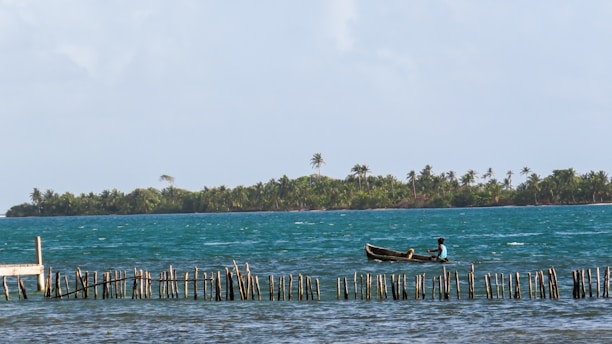 A person in a small boat paddles on a large body of water with an island covered in palm trees in the background. Wooden stakes are partially submerged and arranged in a row in the foreground, possibly serving as a makeshift barrier or fish trap.