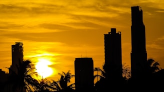 A sleek Miami skyline at sunset symbolizing growth and opportunity.
