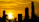 Elegant Miami skyline at sunset highlighting luxury high-rise condos.