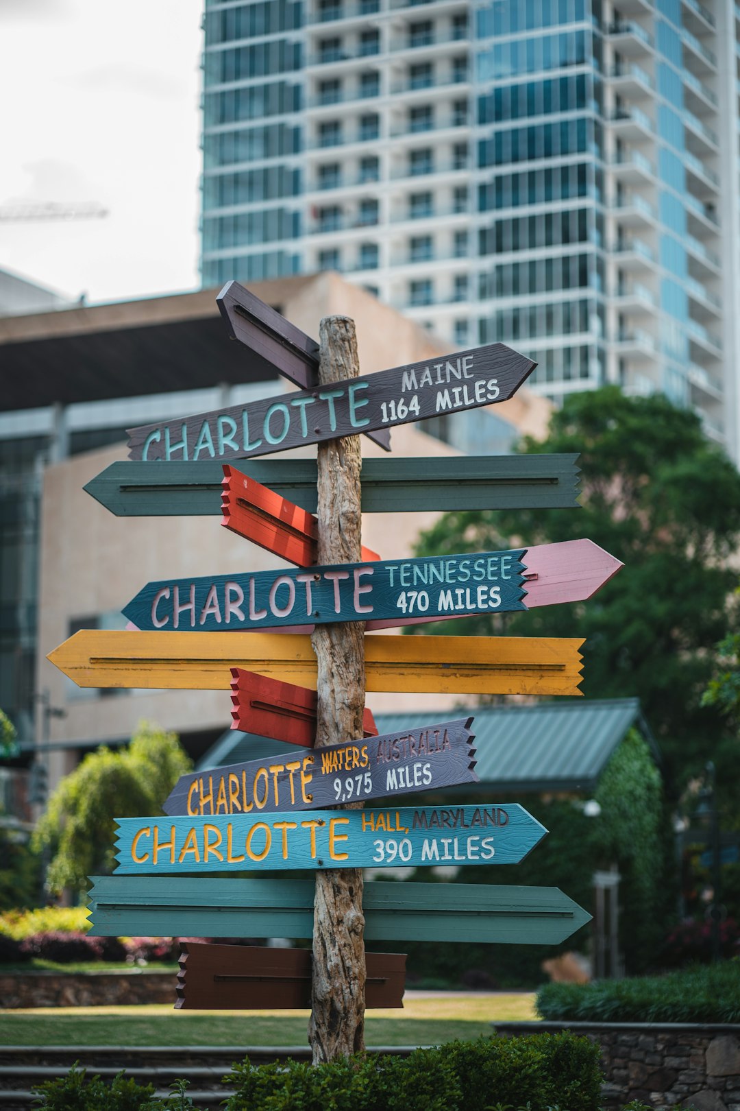 blue and brown wooden street sign