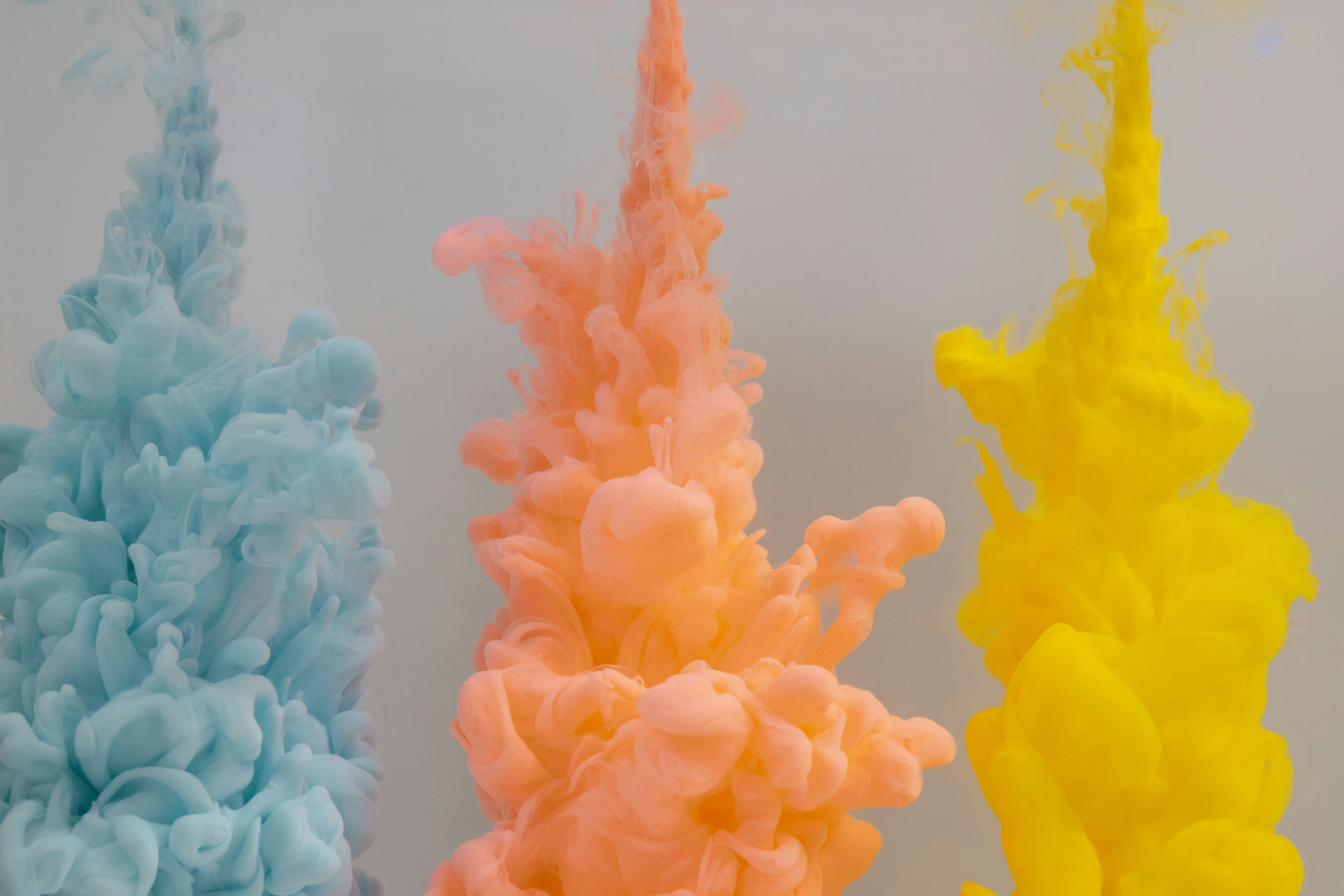 Photo by solenfeyissa