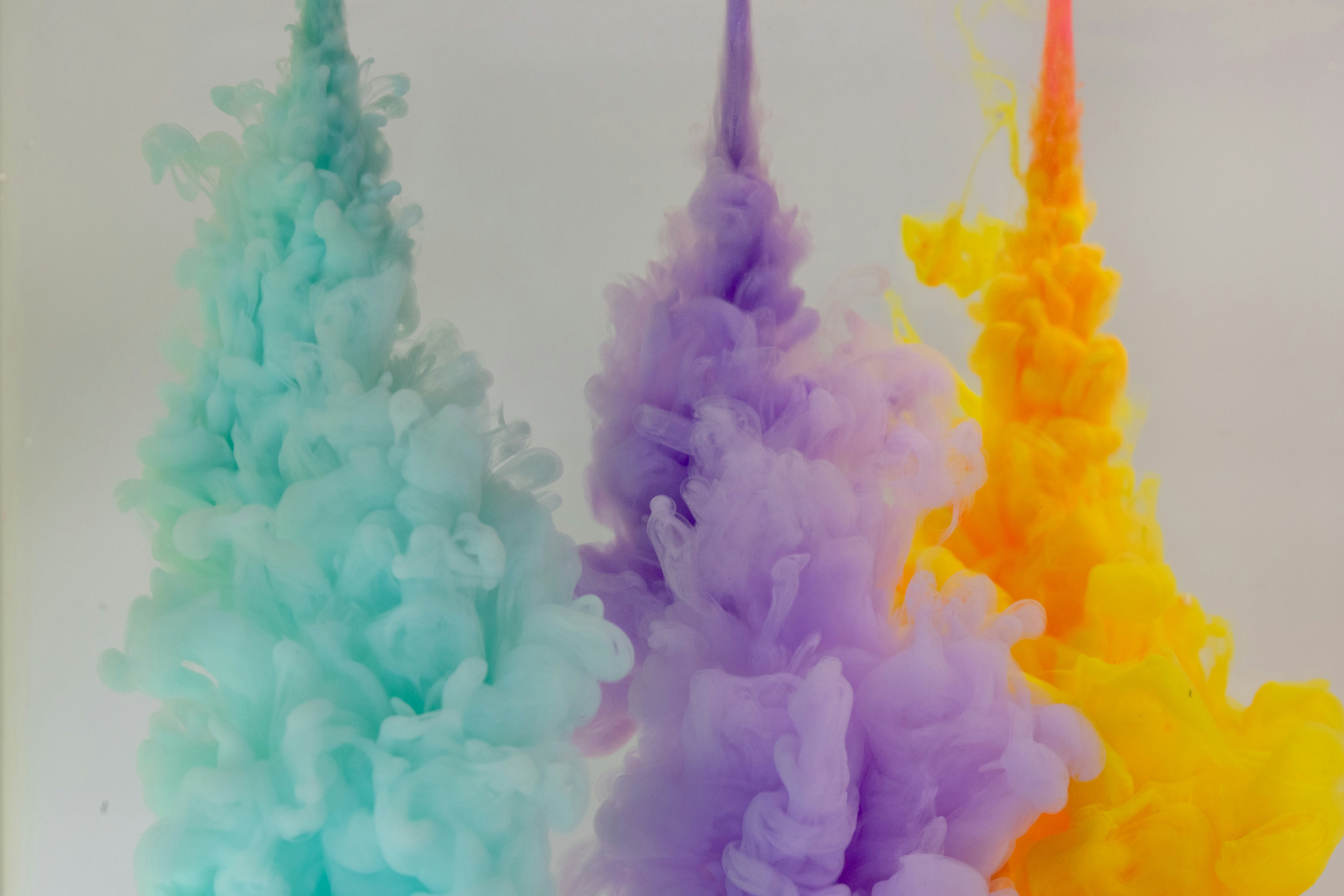 Photo by solenfeyissa