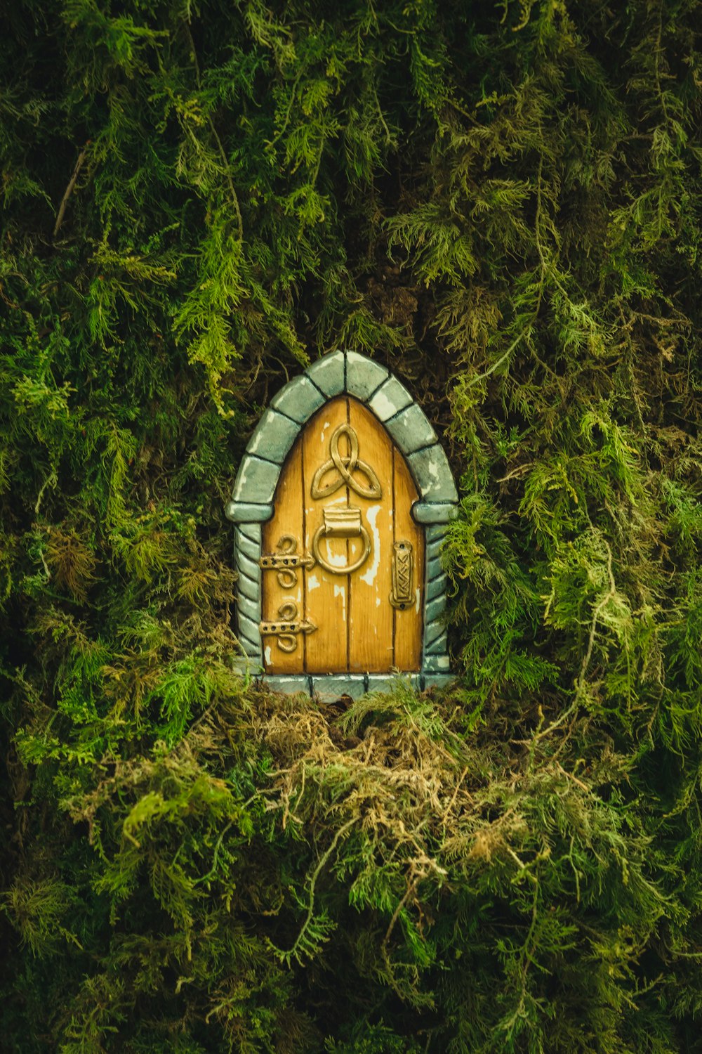 brown wooden house in the middle of green grass field