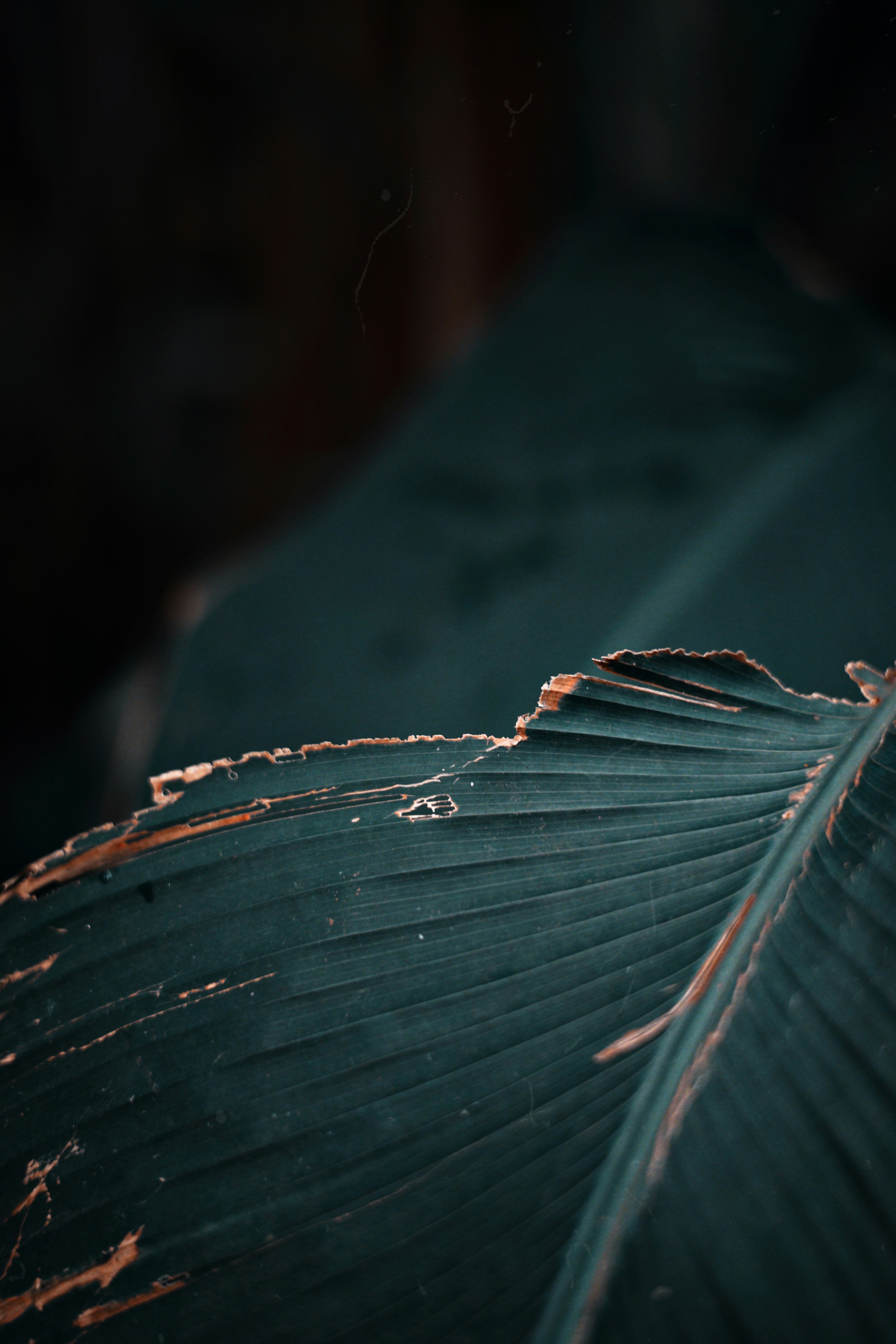 Photo by dmitrynovikoff