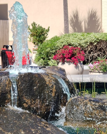 A small water fountain with cascading water flows over a group of large, textured rocks. Surrounding the fountain are lush green foliage, a potted plant with bright red flowers, and a background wall bathed in sunlight. Some ornamental grasses can be seen around the base of the fountain.